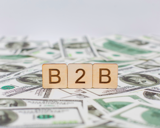 B2B Price Optimization